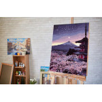 Maľovanie podľa čísel – Večer v Japonsku